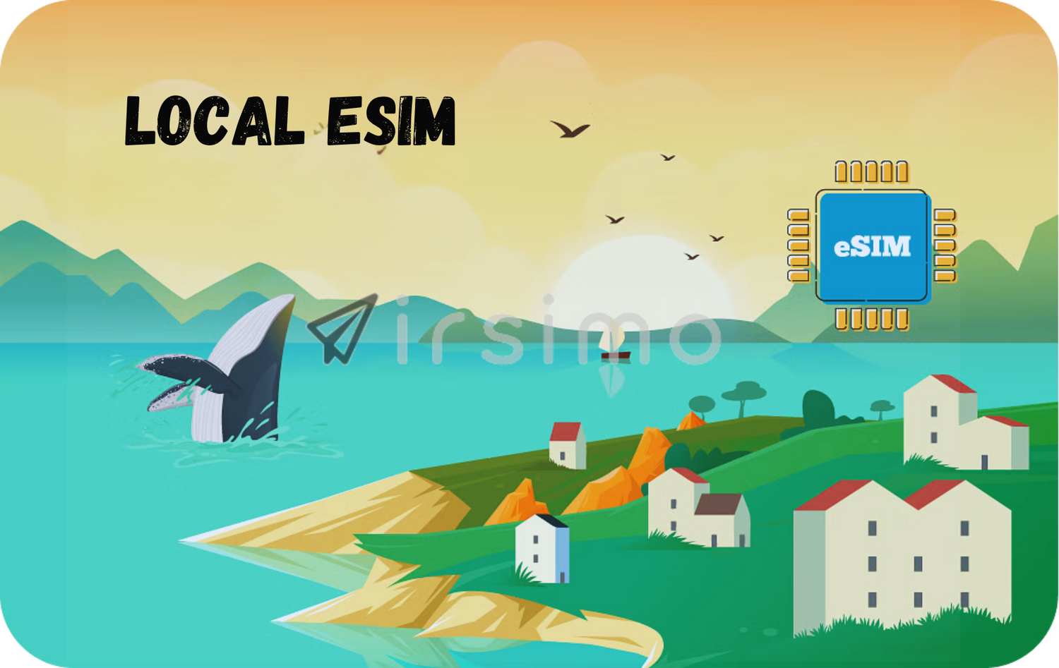 Local eSIMs